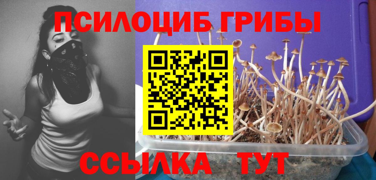 Галлюциногенные грибы мухоморы  Вход с VPN  Троицк 