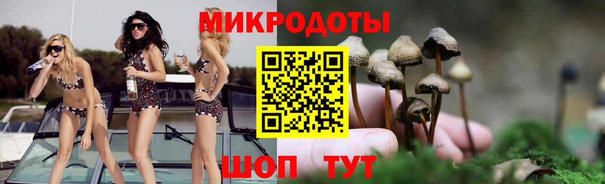Псилоцибиновые грибы Cubensis Троицк